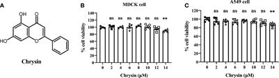 Chrysin Ameliorates Influenza Virus Infection in the Upper Airways by Repressing Virus-Induced Cell Cycle Arrest and Mitochondria-Dependent Apoptosis